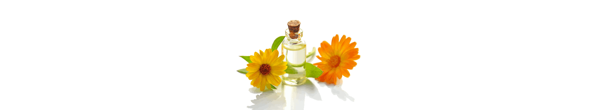 Ganzheitliche internistische Diagnostik und Therapie